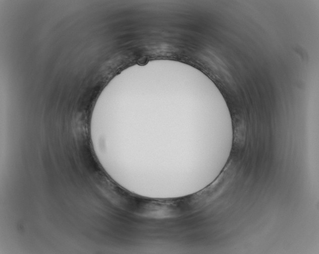 X0000113350179200910131247