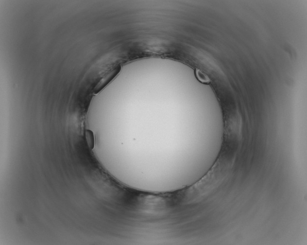 X0000113350180200910131247
