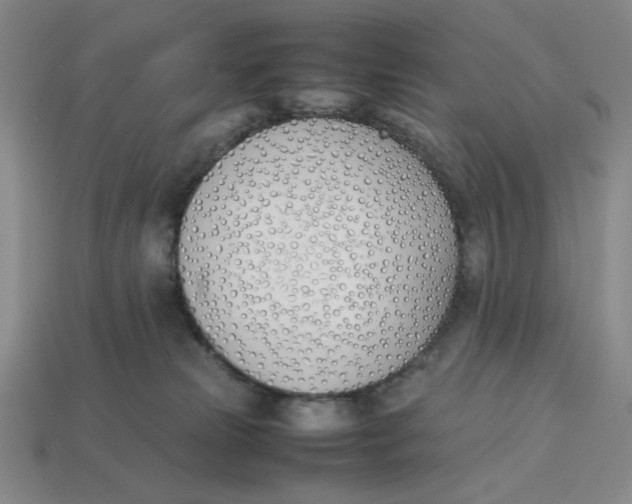 X0000113350181200910131247