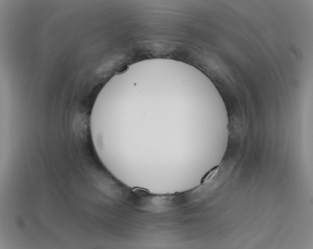 X0000113350184200910131247