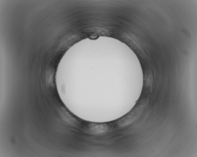X0000113350185200910131247