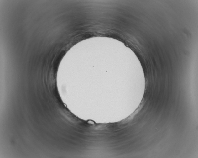 X0000113350186200910131247