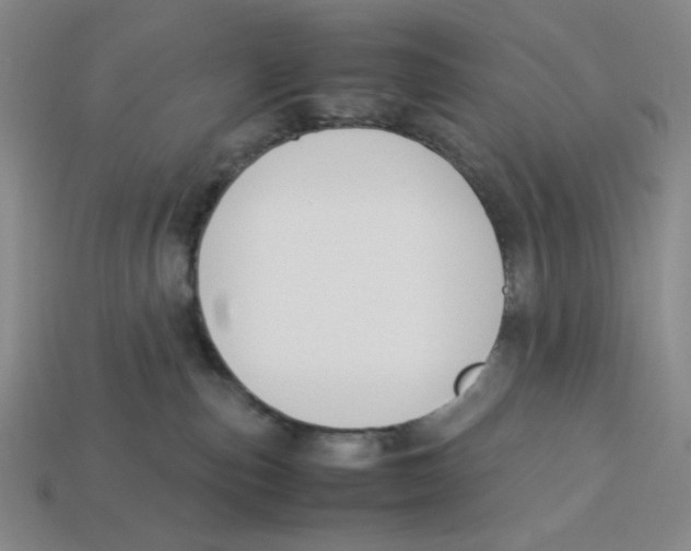 X0000113350187200910131247