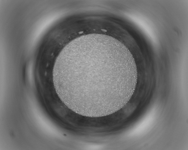 X0000113350189200910131247