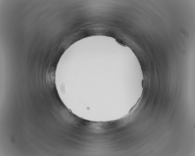 X0000113350190200910131247