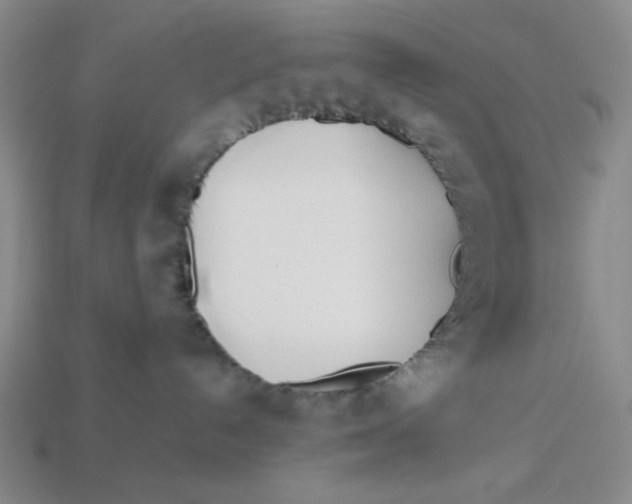 X0000113350192200910131247