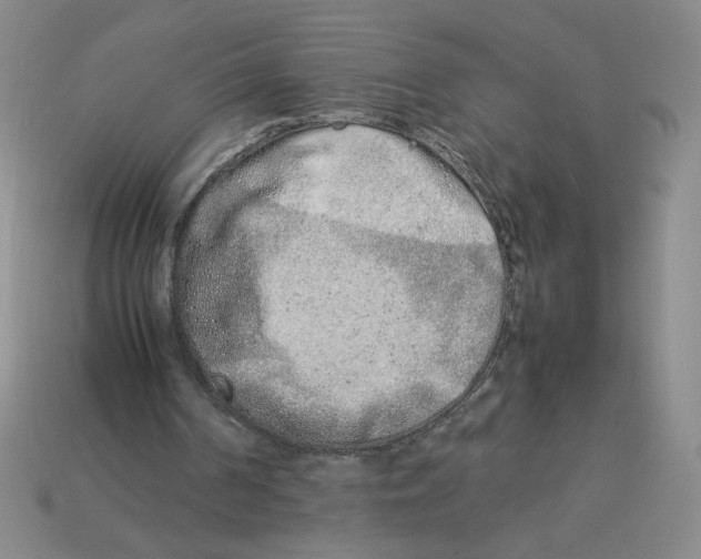 X0000113350194200910131246
