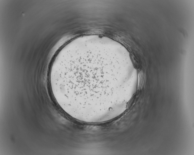 X0000113350195200910131246