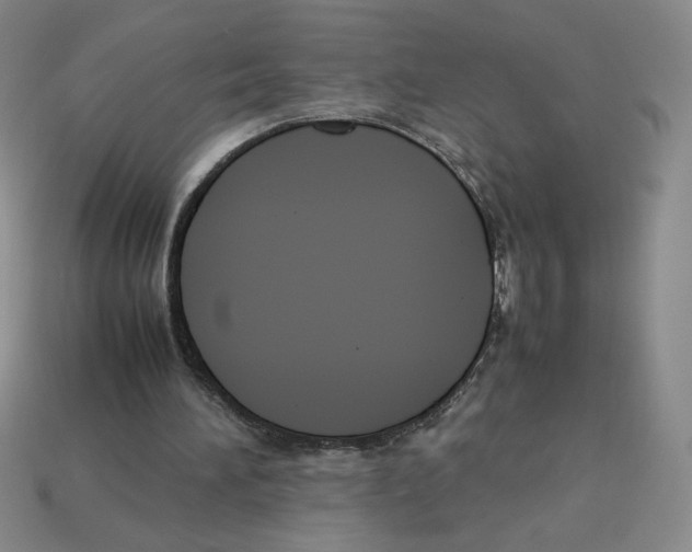 X0000113350196200910131246
