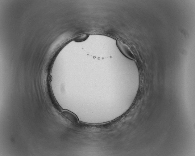X0000113350197200910131246