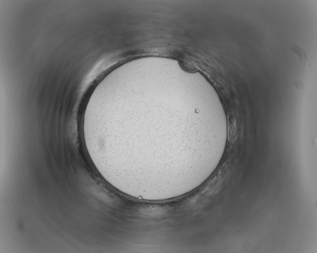X0000113350198200910131246