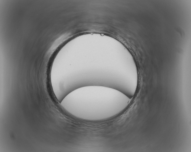 X0000113350199200910131246