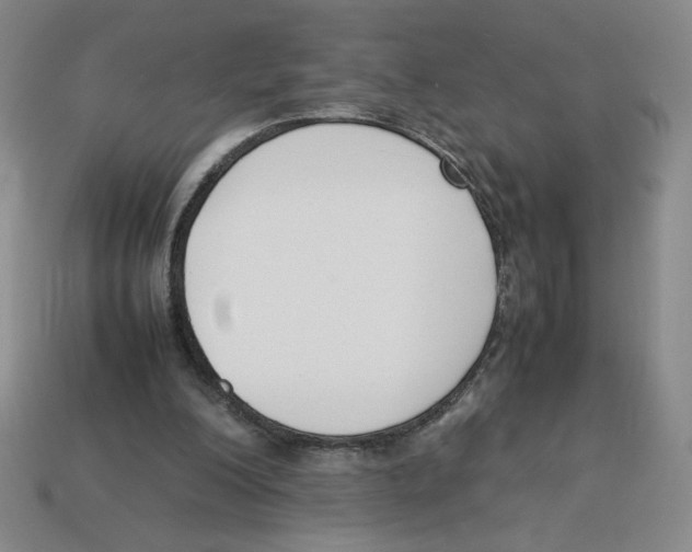X0000113350200200910131246