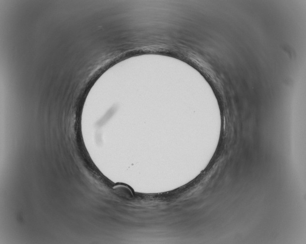 X0000113350201200910131246