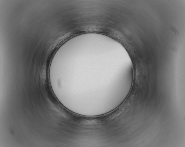 X0000113350202200910131246