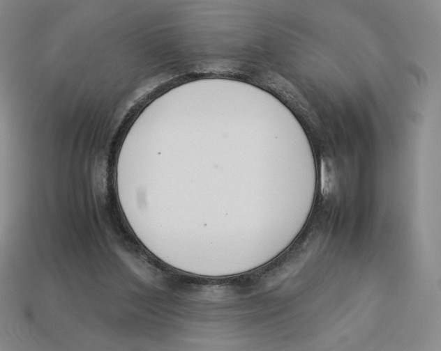 X0000113350204200910131246