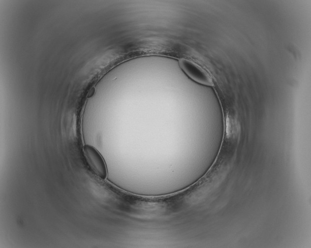 X0000113350205200910131246