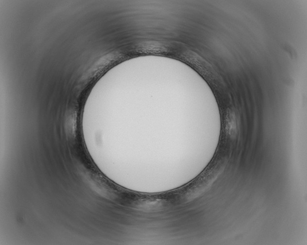 X0000113350206200910131246