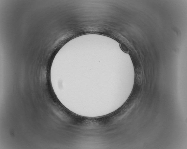 X0000113350207200910131246