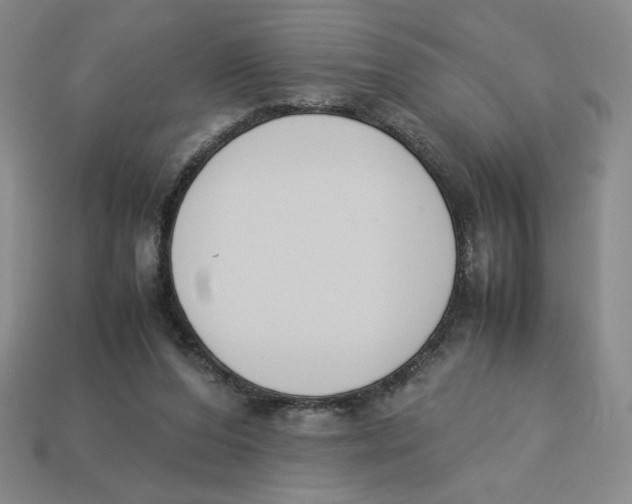 X0000113350208200910131246