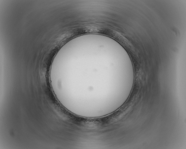 X0000113350209200910131246