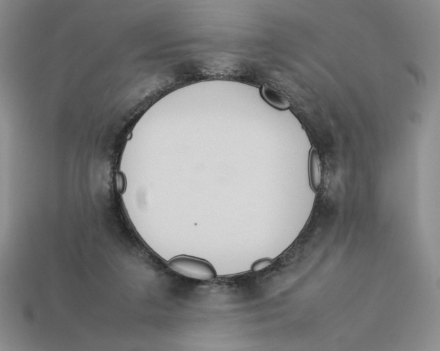 X0000113350211200910131246