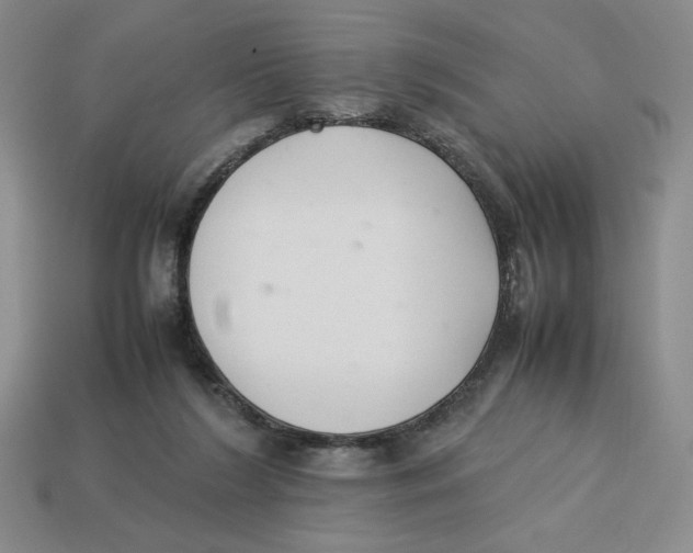 X0000113350212200910131246