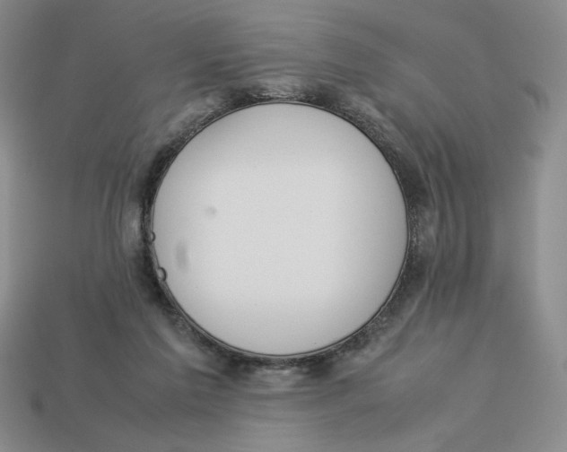 X0000113350213200910131246