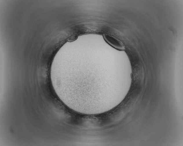 X0000113350215200910131246