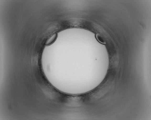 X0000113350217200910131246
