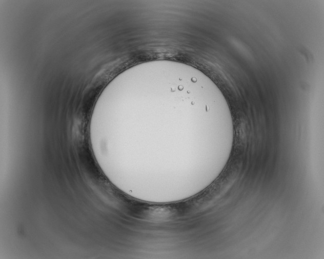 X0000113350218200910131246