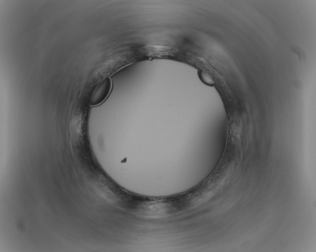 X0000113350219200910131246