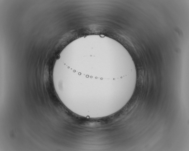 X0000113350220200910131246