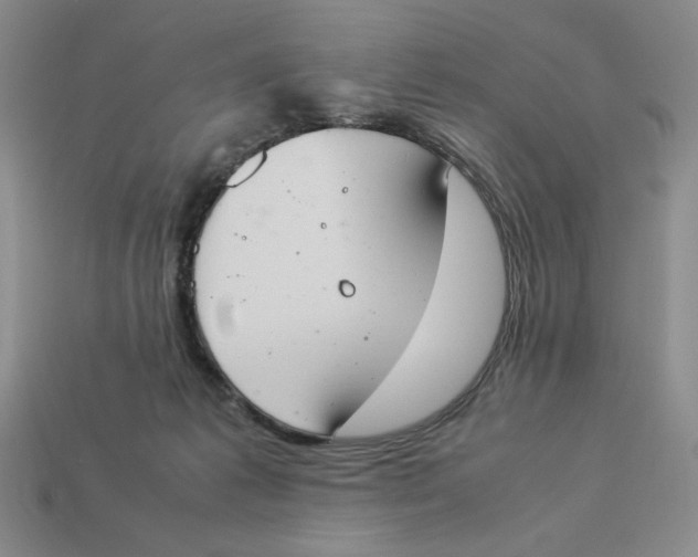 X0000113350221200910131246
