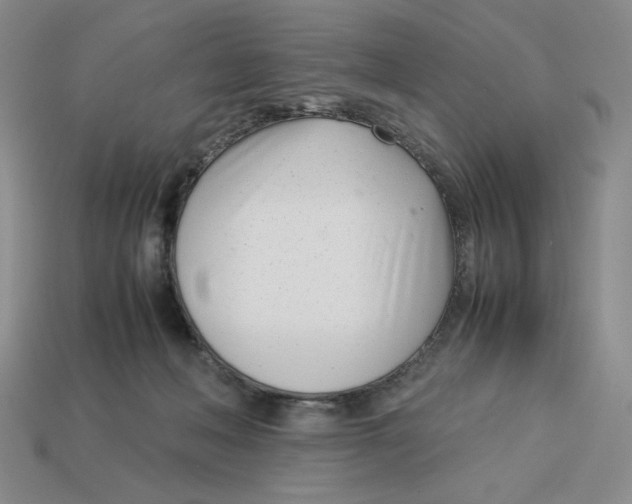 X0000113350222200910131246