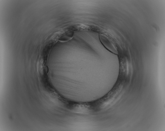 X0000113350223200910131246