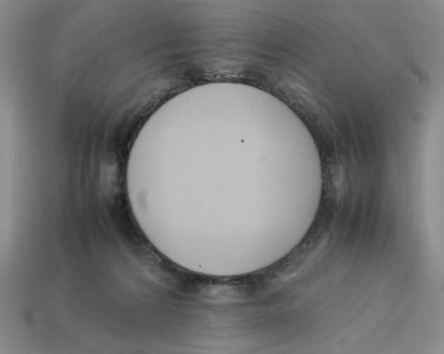 X0000113350224200910131246