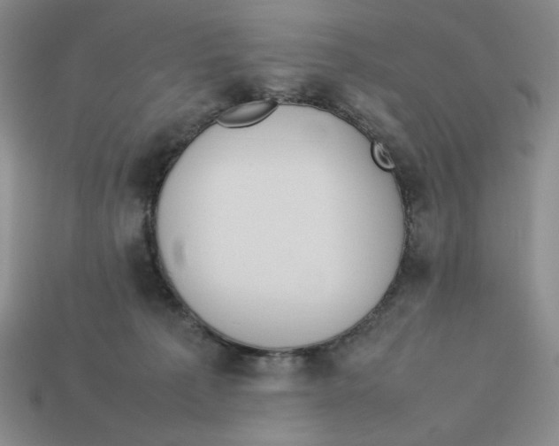 X0000113350225200910131246
