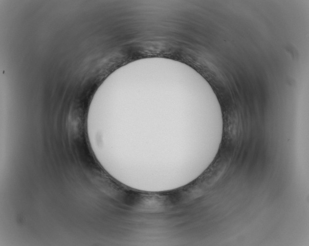 X0000113350226200910131246