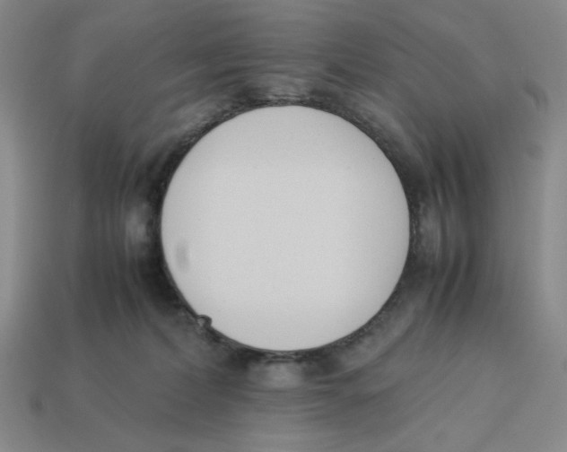 X0000113350228200910131246