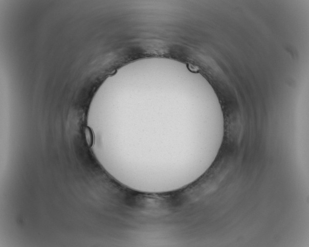 X0000113350229200910131246