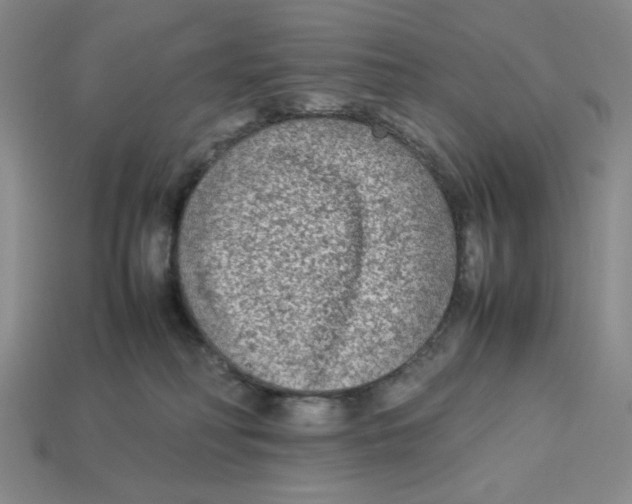 X0000113350230200910131246