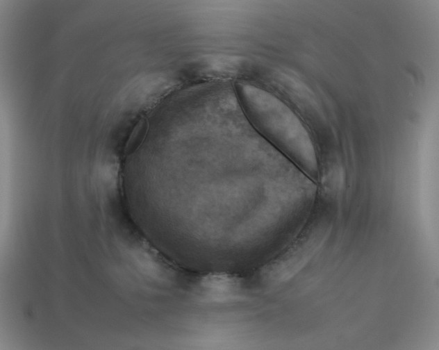 X0000113350231200910131246