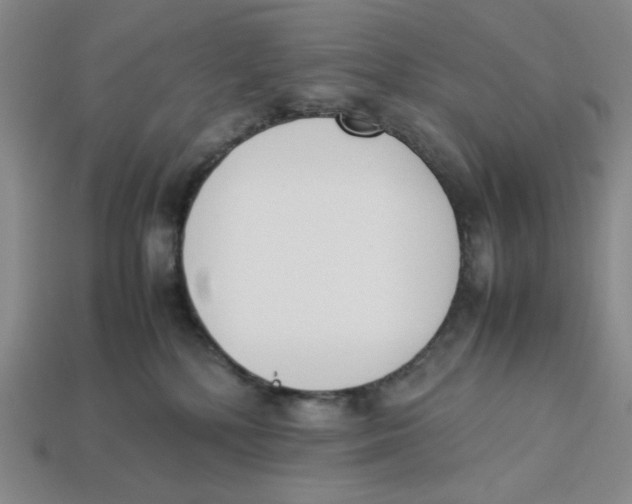 X0000113350232200910131246