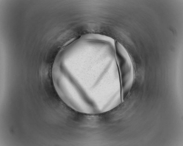 X0000113350233200910131246