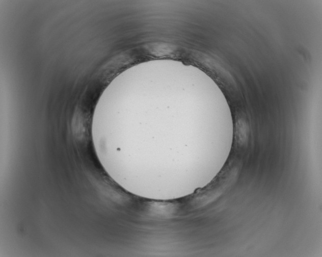X0000113350234200910131246