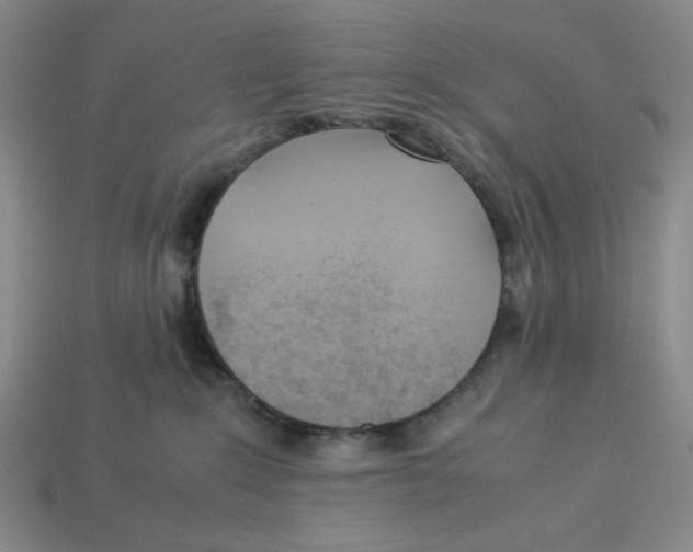 X0000113350235200910131246