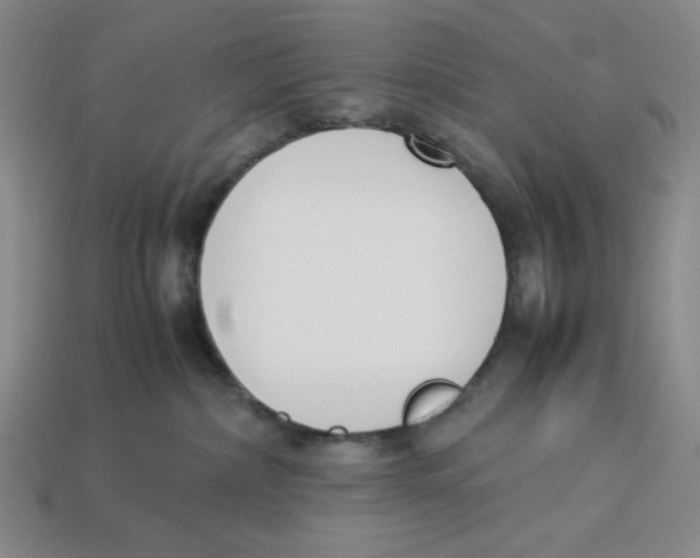 X0000113350236200910131246