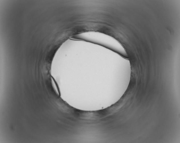 X0000113350237200910131246