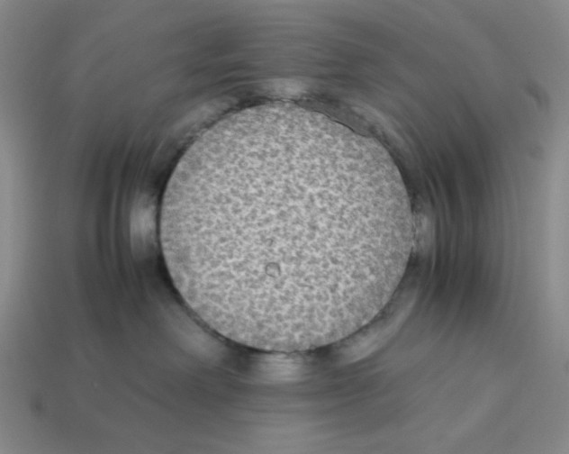 X0000113350238200910131246